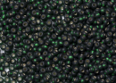 Бисер Чехия круглый 10/0 500 г 57150m прозрачный темно-зеленый с серебристым прокрасом матовый